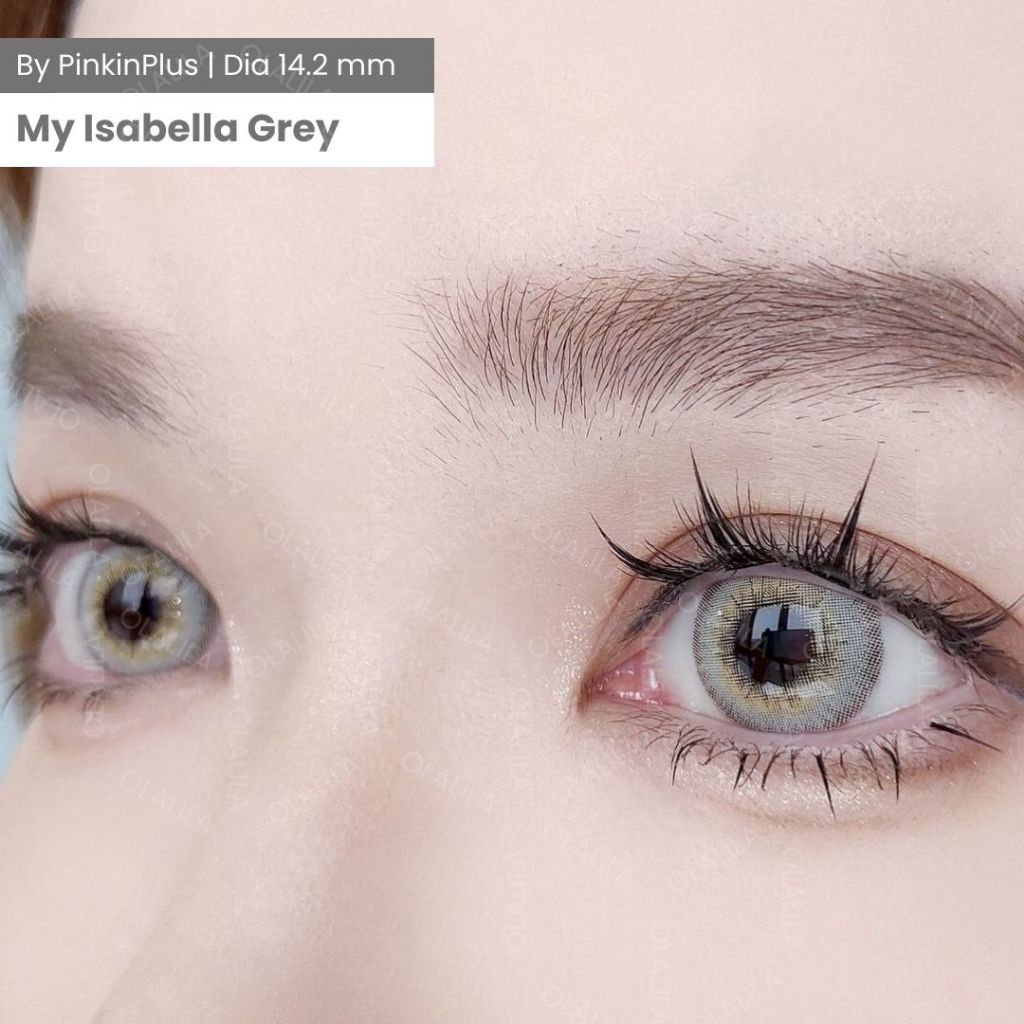 OLALILA Softlens My Isabella Gray Wedding Lens / Softlens My Isabella Wedding Lens by Pinkinsoftlens