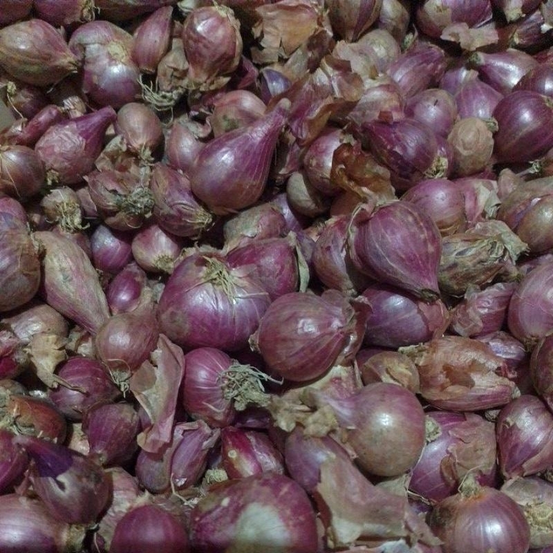 

bawang merah sedang 1kg