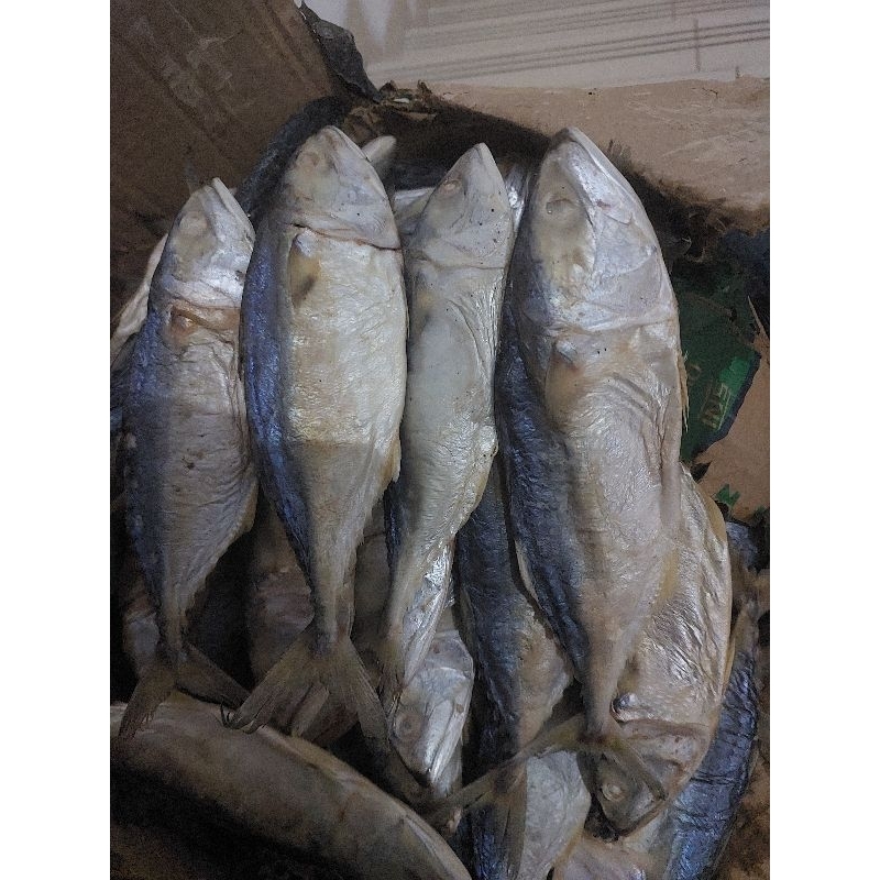

ikan asin gembung/peda