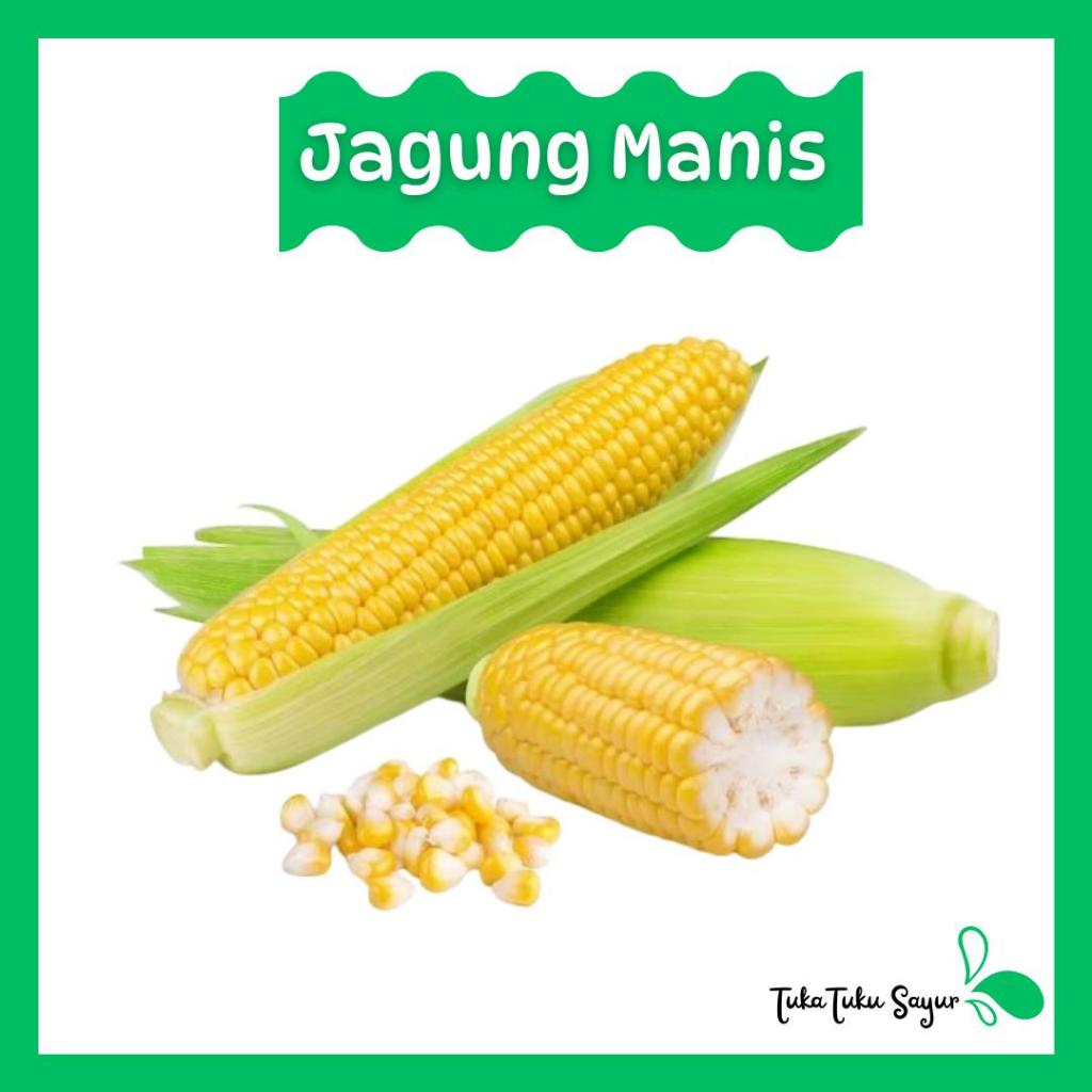 

Jagung Manis - TukaTuku Sayur