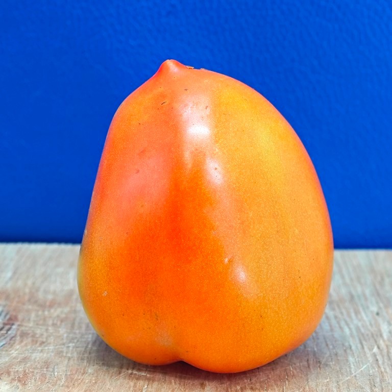 

TOMAT sayuran sayur bumbu dapur 1kg 1 kg kilo 100 gram 250 gr kiloan