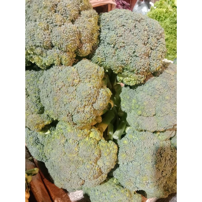 

BRUKOLi1KG
