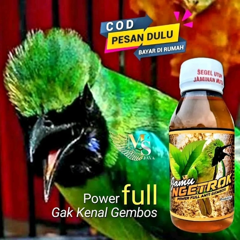 JAMU NGETROK JAMU BURUNG CUCAK IJO/ JAMU UNTUK SEMUA BURUNG PEMAKAN PISANG JAMTROCK/JAMTROK/JAMU PEN