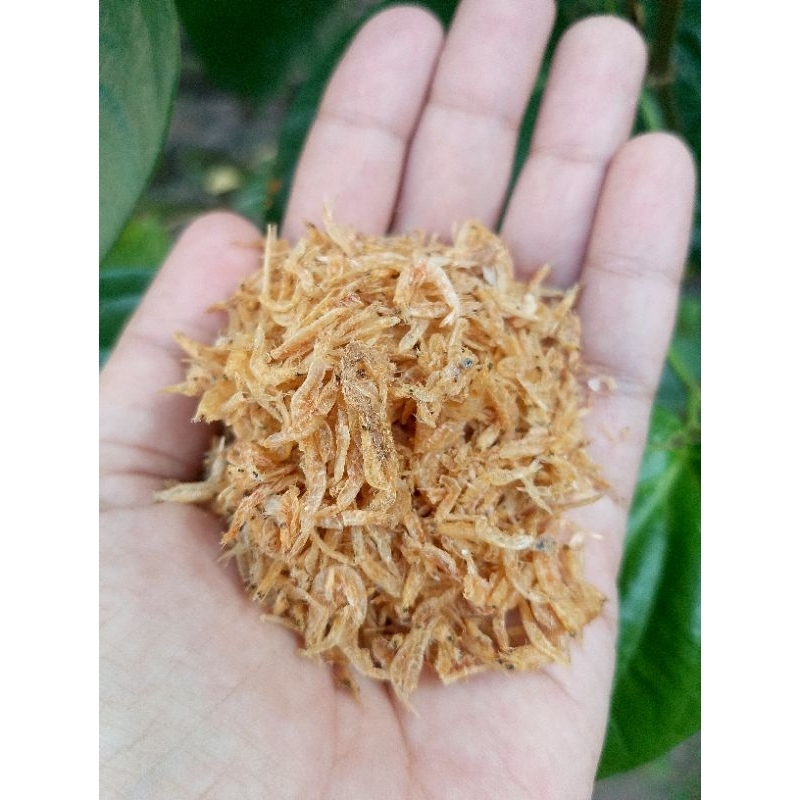 Udang kering (urang dawu)