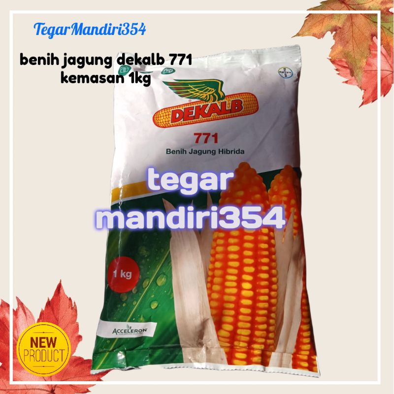 benih jagung hibrida dekalb 771 kemasan 1kg dekalb 771 1kg benih unggul