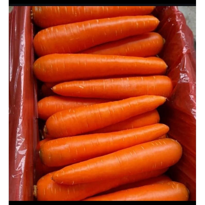 

Wortel brastagi/wortel import