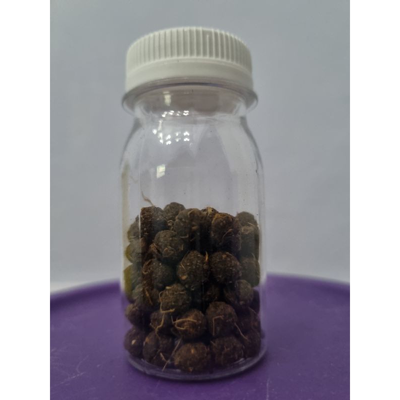 

jamu merpati WARISAN KONNAH Mbah Jii Man