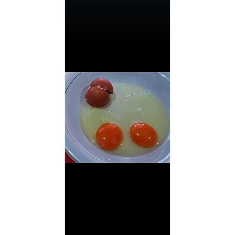 

TELUR AYAM NEGERI PREMIUM (30 BUTIR) FRESH KUALITAS TERBAIK