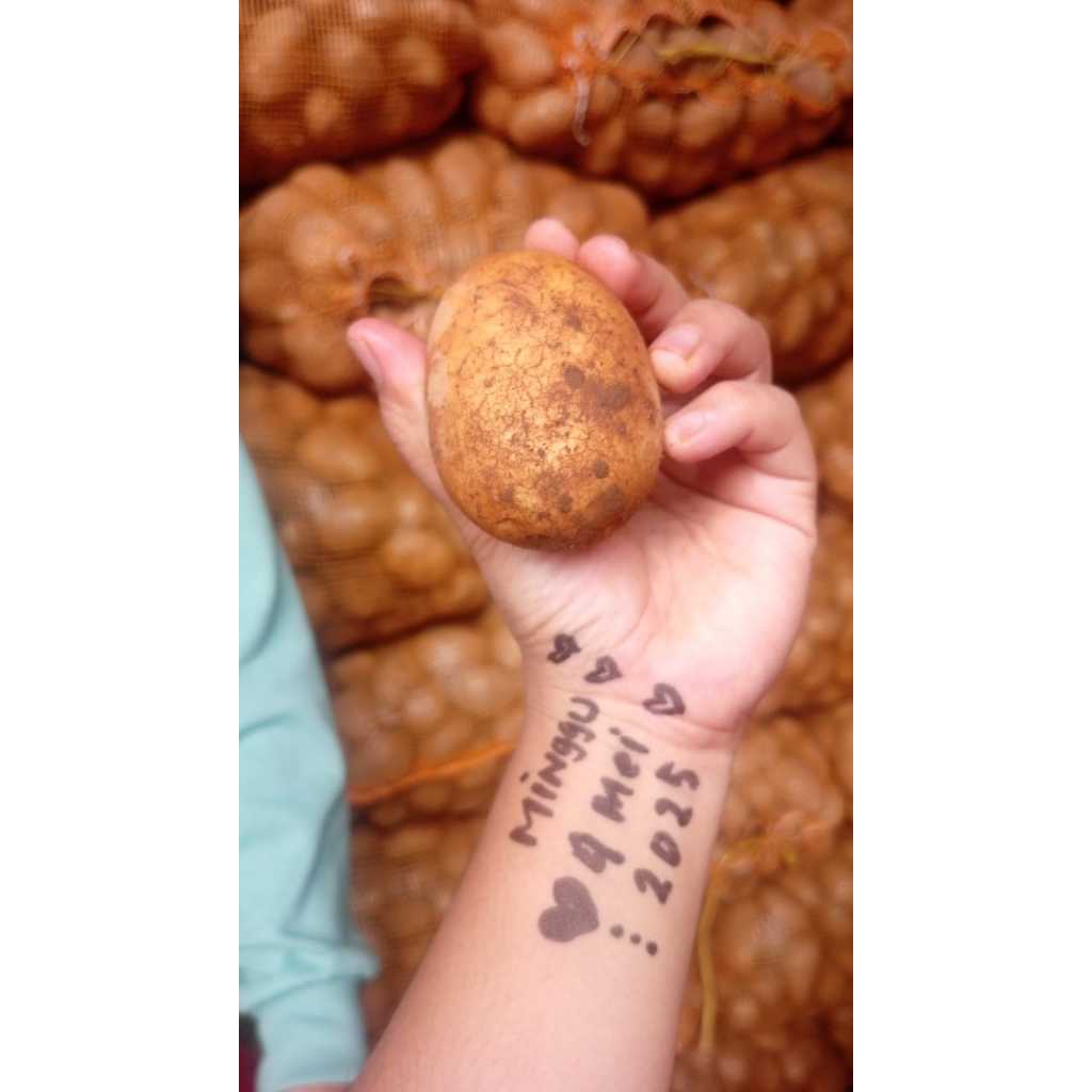 

Kentang Dieng 1Kg Harga Terjangkau