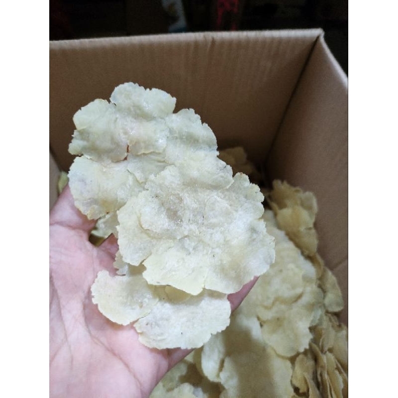 

Emping Biji Kecil Besar Premium 250gr 500gr 750gr 1000gr 1kg Bagus Super Kualitas Asli Banten Cilegon