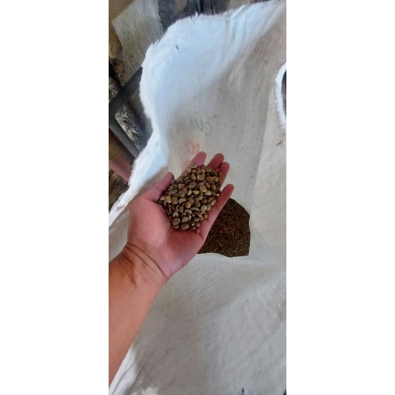 

Biji Kopi Robusta / Green Bean Lampung