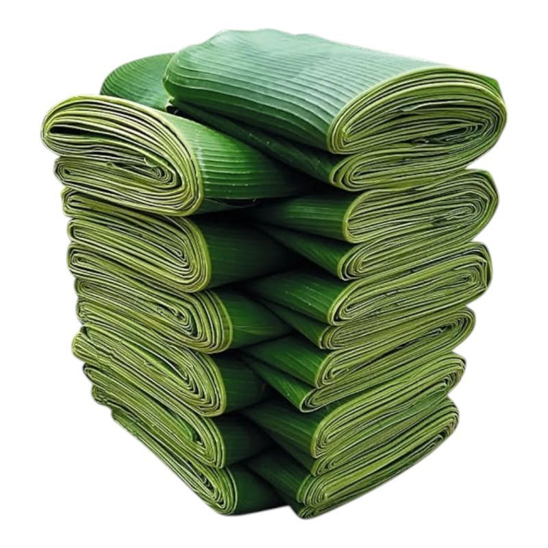 

TERMURAH DAUN PISANG SEGAR 1 IKAT (ISI 5 BATANG)