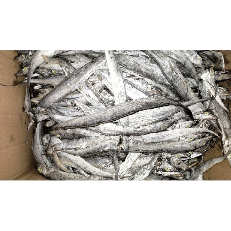 

Ikan Asin Layur Superr Grade A