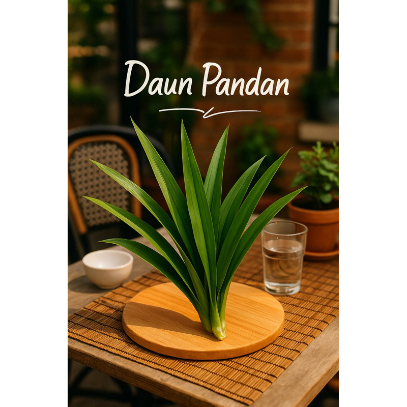 

Daun pandan
