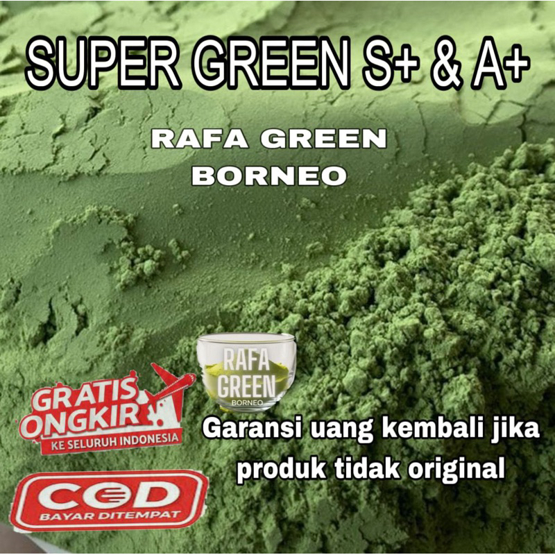 

[RGB] 1000gram bubuk serbuk daun kelor moringa/teh hijau Powder organik