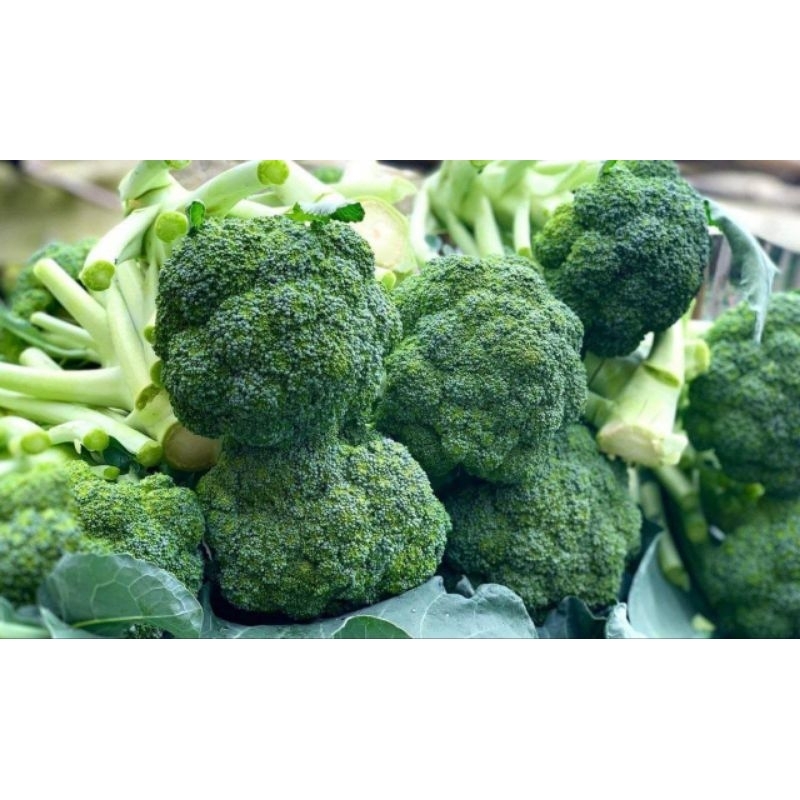 

sayur brokoli segar