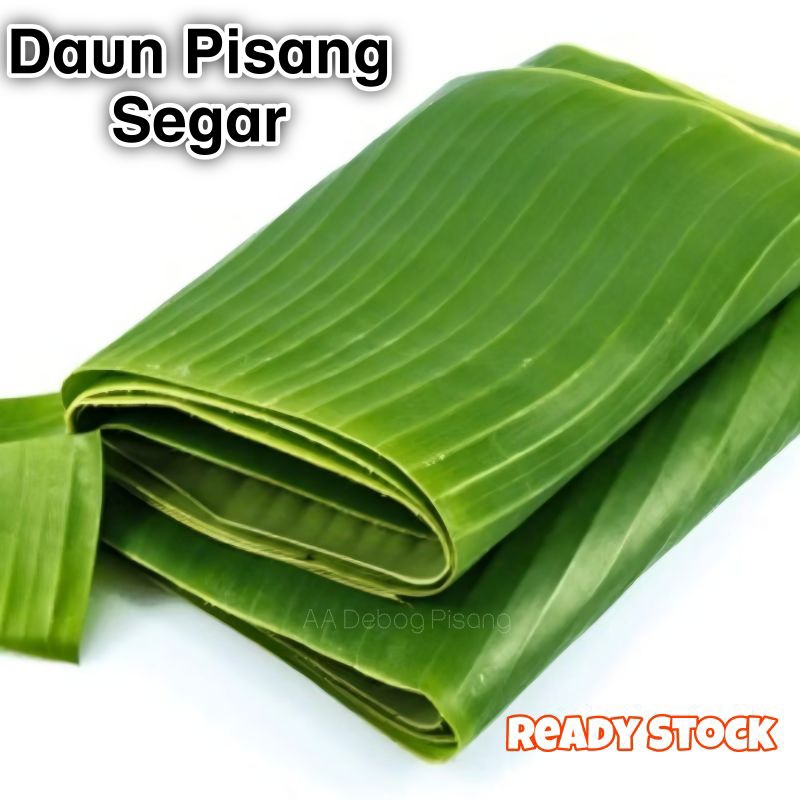

Daun Pisang Muda Daun Pisang Segar