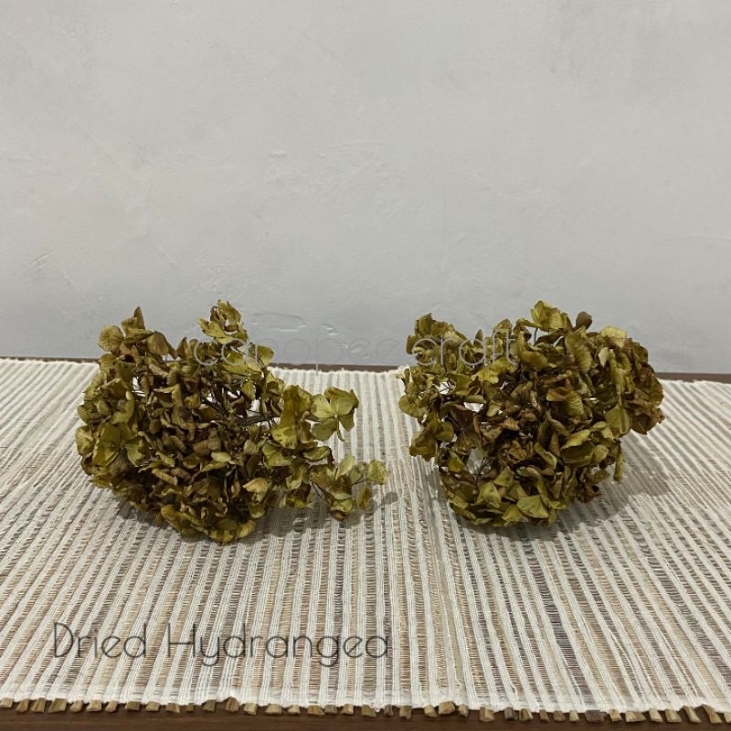 DRIED HYDRANGEA FLOWER / BUNGA KERING HYDRANGEA (TANPA TANGKAI)