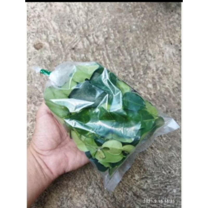 

daun jeruk purut segar 50gr
