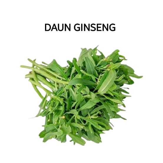 

Daun Ginseng Segar Organik