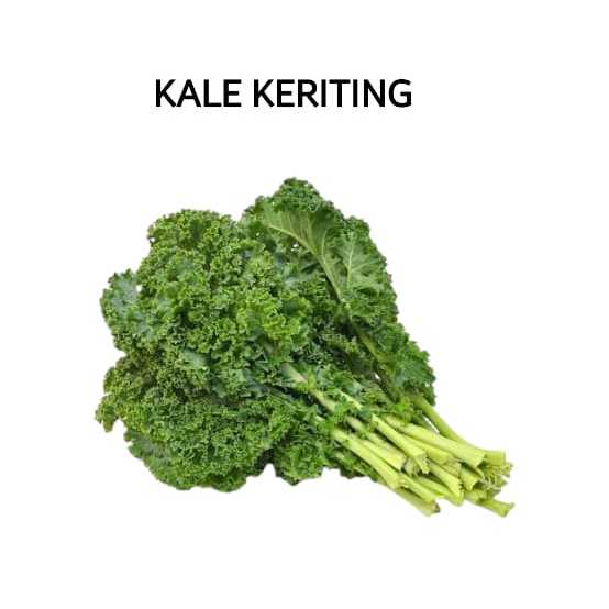 

Kale Keriting Curly Segar Organik