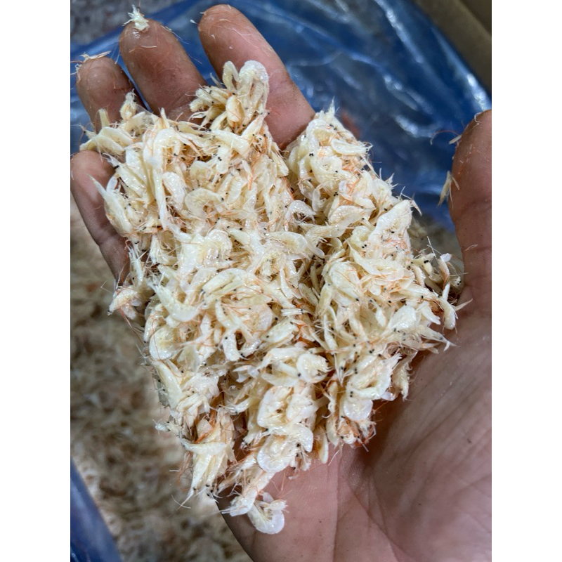 

Rebon Asin Cantik Kualitas Premium // 250gr-1kg