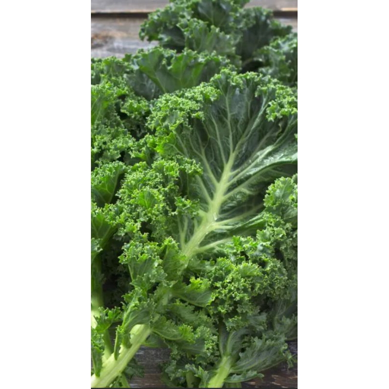 

Kale daun