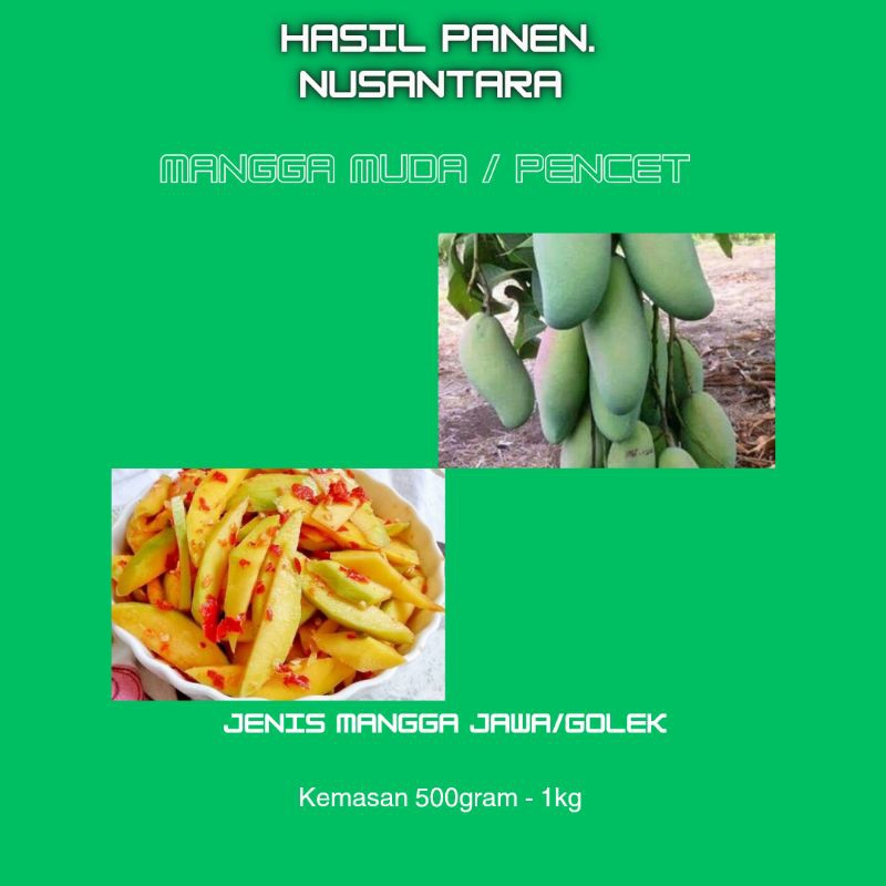 Mangga Muda Jawa/Golek Cocok Buat rujak Dan sambal mangga