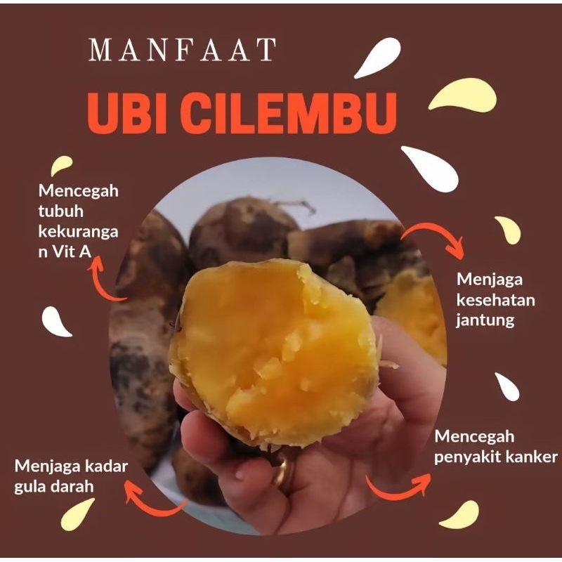 

Ubi Madu Cilembu Mentah Kemasan 1kg Manis dan Legit