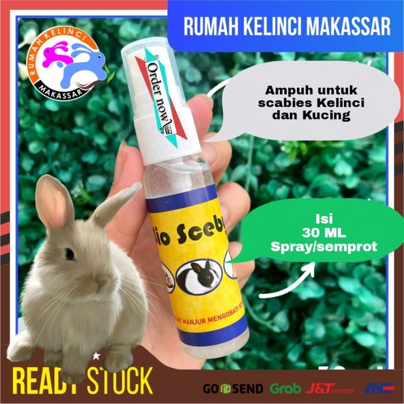 OBAT SCABIES Kelinci Kucing Obat Scabies Kucing Semprot BIO SCABY 30ML