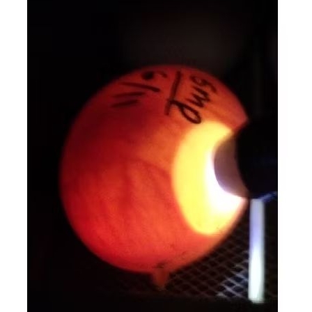 

Telur Fertil Ayam ELBA (ASLI Ori)