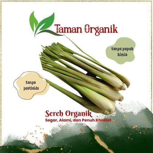 

Sereh Organik Segar 250gram