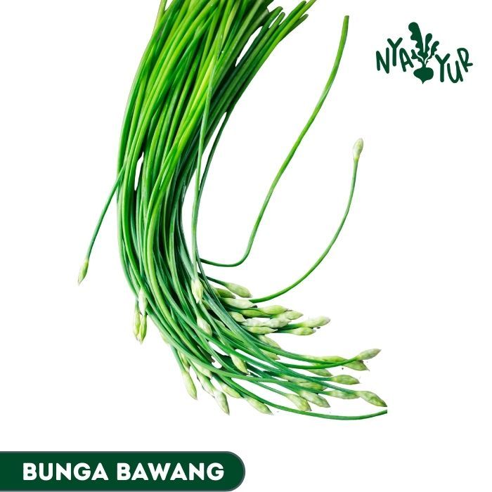

INSTAN - Bunga Daun Bawang segar per ikat