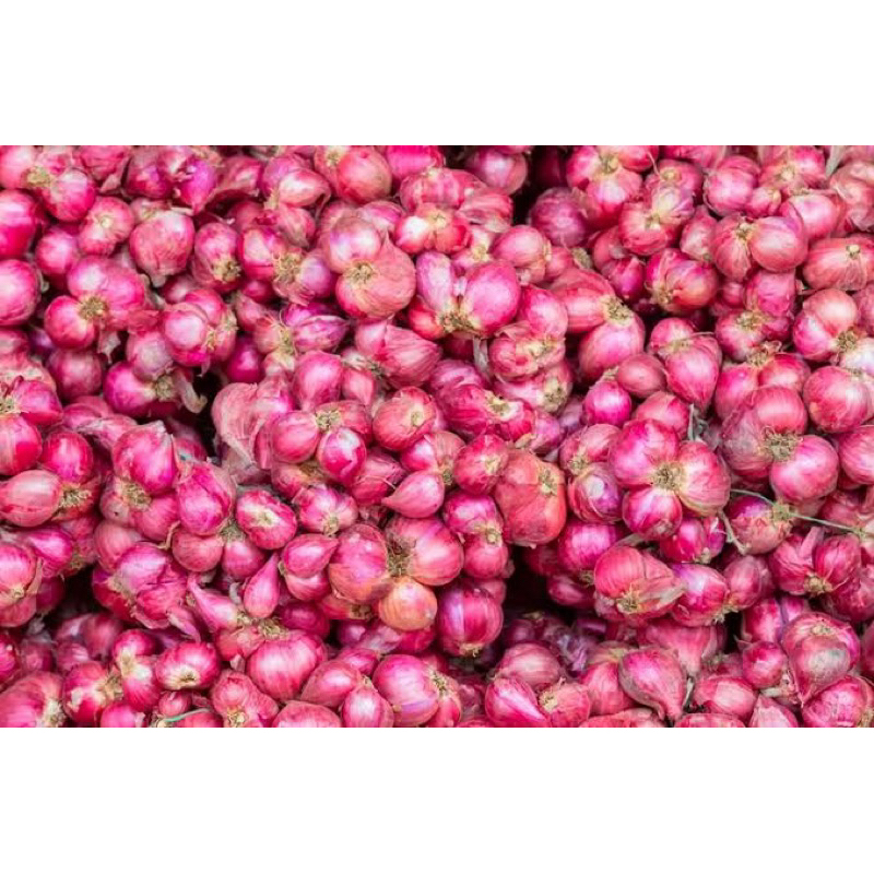 

Bawang Merah Super dan Tanggung, Kering, Termurah