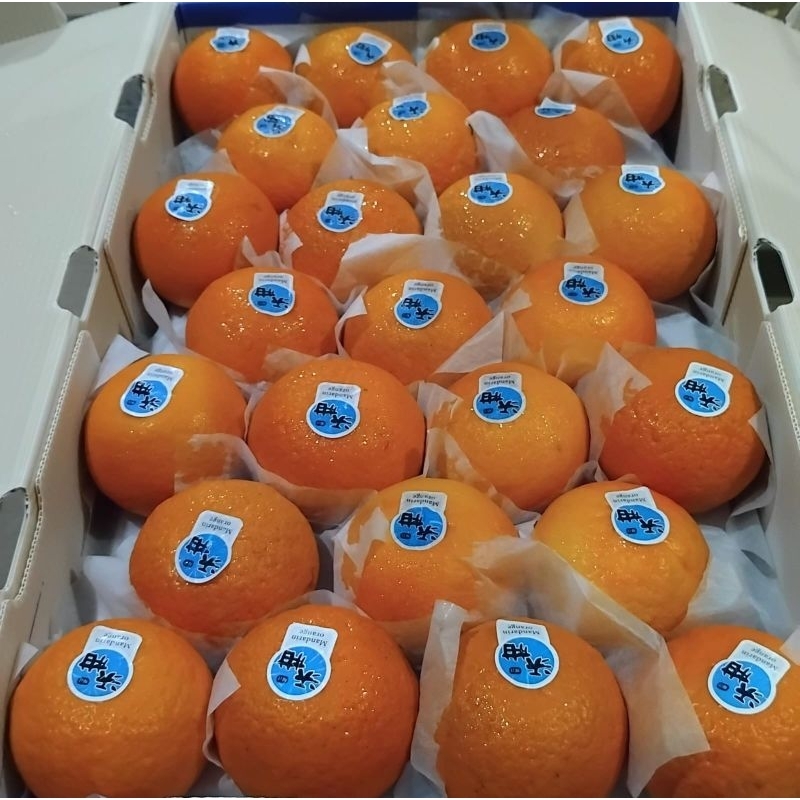 

Indukbuah Buah Jeruk Wokam Wogan Manis Seger 1 Keranjang/Dus