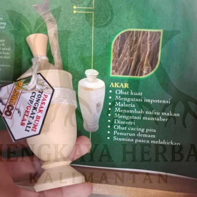 

Gelas Pasak Bumi Untuk Stamina Pria | Obat Tradisional Pinggang & Urat