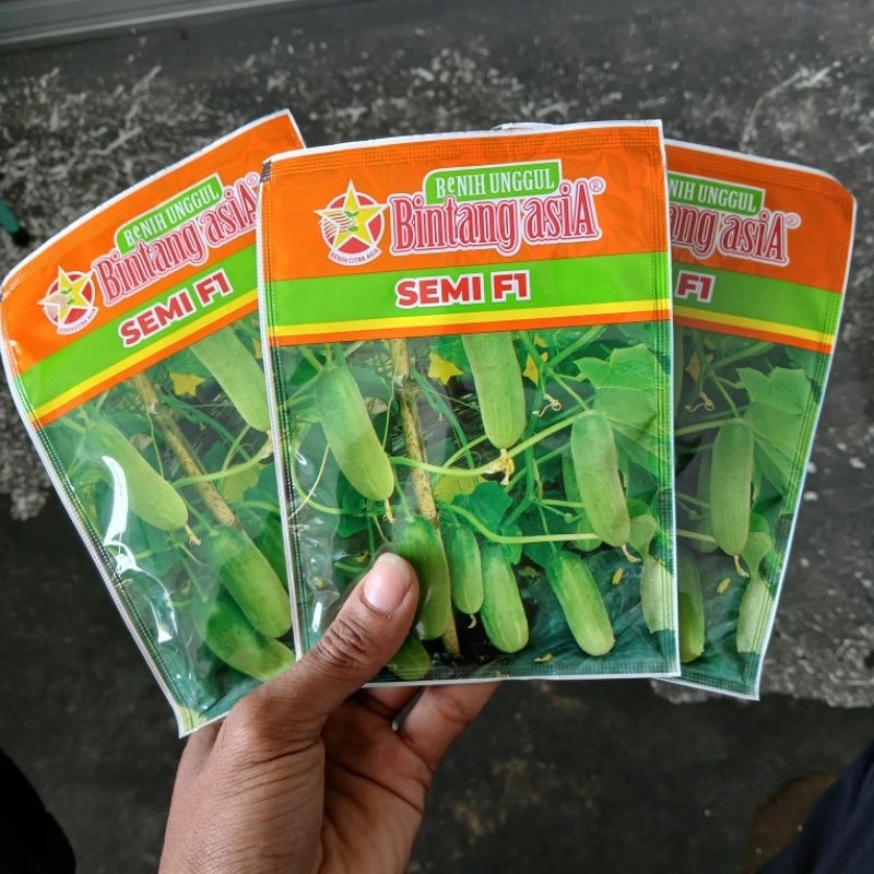 

Timun Baby SEMI F1 Bintang Asia Timun Lalap 20 Gram