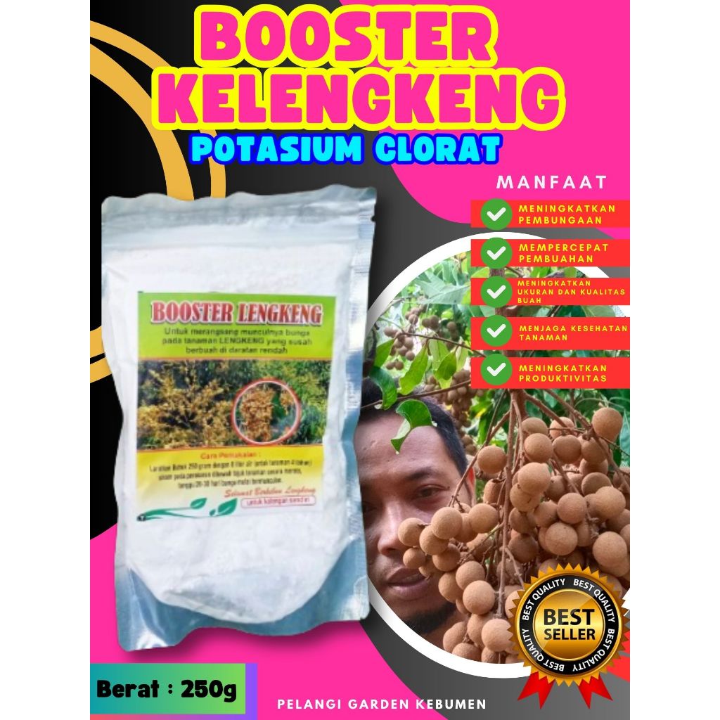 DIJAMIN ASLI  Boster Kelengkeng Bubuk, Boster Kelengkeng Berbuah, Boster Kelengkeng Berbunga