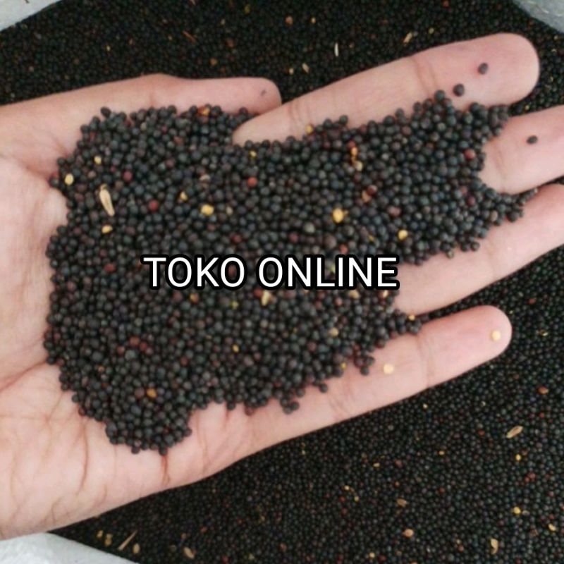 

BIJI SAWI 500GRAM biji sawi kenari 500gram