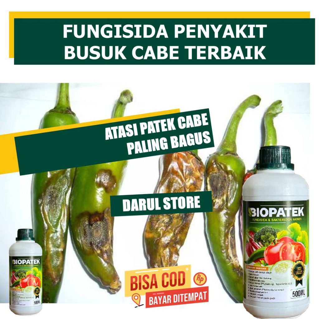 BIOPATEK 500 ml fungisida hayati atasi penyakit patek tanaman cabai/cabe