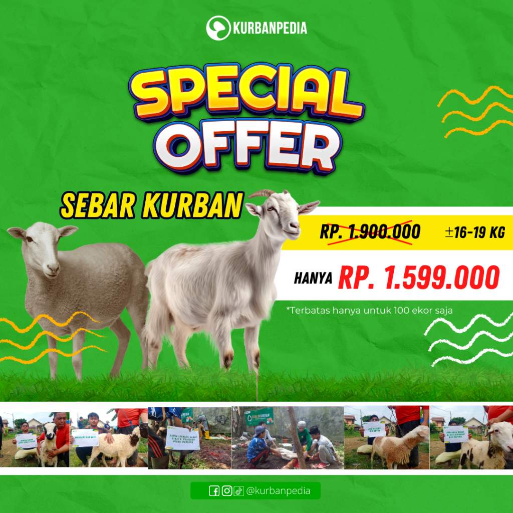 

Qurban Kambing Domba Murah Sebar Kurban