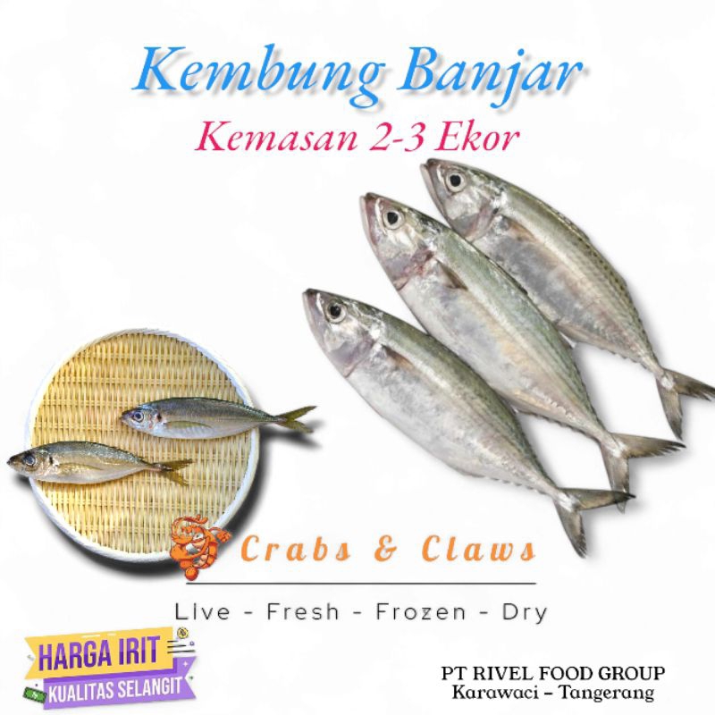 

Ikan Kembung Banjar Fresh Frozen 2-3 Ekor - Seafood Ikan Hemat