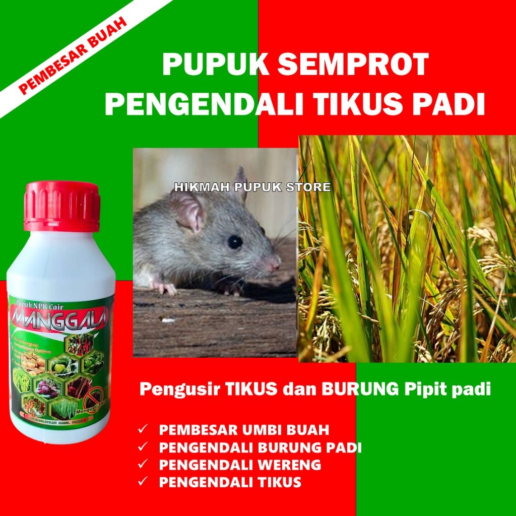 Pengendali tikus MANGGALA 500 ml ORIGINAL Pengusir TIKUS dan BURUNG Pipit padi Pupuk Daun + Pengusir