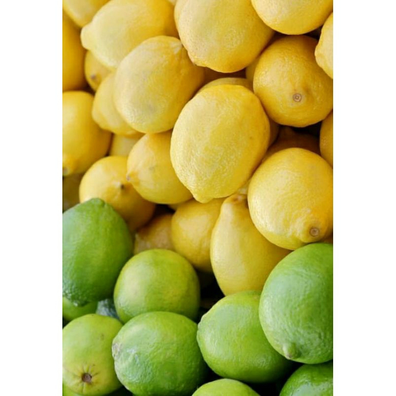 

jeruk California 1kg super besar