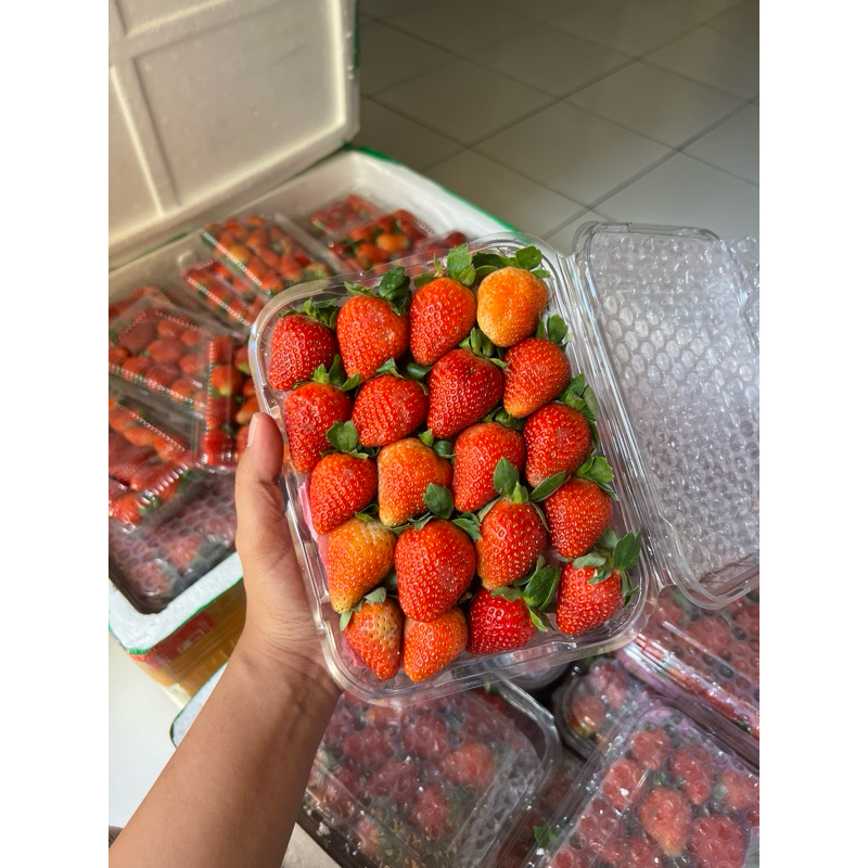 

Strawberry 500gr Grade AB (Besar campur sedang)