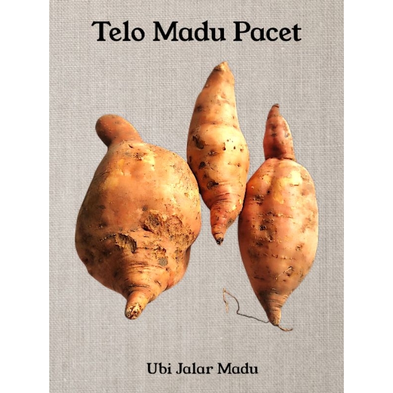 

Ubi jalar Madu / Telo Madu Oren khas Pacett Per 1KG / Sudah Dicuci Bersih