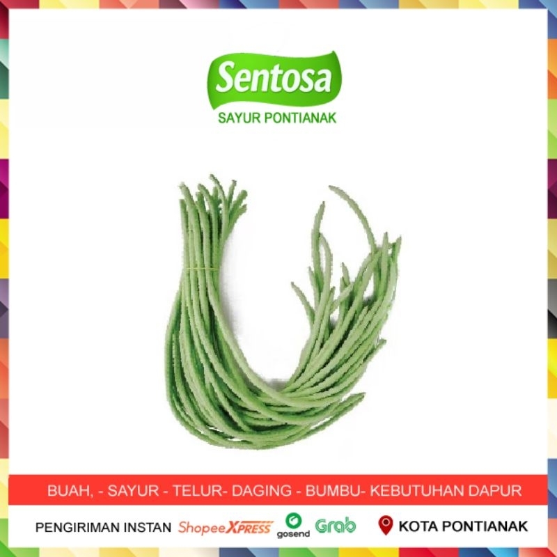 

Kacang Panjang 500 gram Sentosa Sayur Pontianak