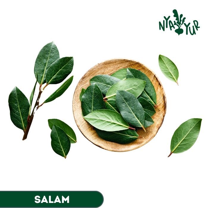 

INSTAN - Daun Salam Segar 50gr