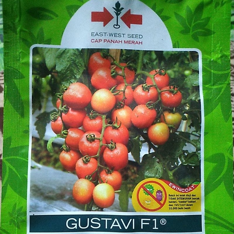 Bibit Tomat merah Gustavi F1 Cap Panah Merah