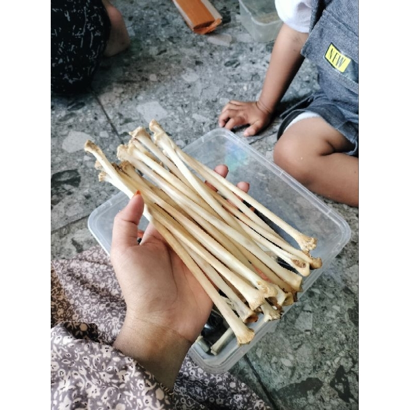 Tulang Kalong Mentah